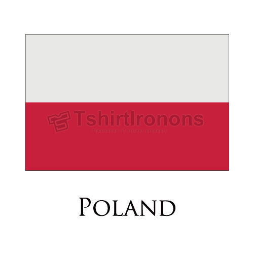 World Flags T-shirts Iron On Transfers N3066